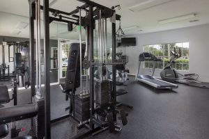 Fitness center with multiple workout equipment and TV